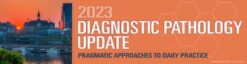 2023 Diagnostic Pathology Update Pragmatic Approaches to Daily Practice