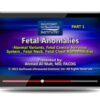 Gulfcoast Fetal Anomalies