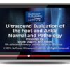 Gulfcoast: Ultrasound Evaluation of the Foot and Ankle