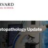 Harvard Dermatopathology Update 2023