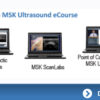 Pegasus Lectures Complete MSK Ultrasound eCourse 2023