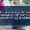 The Vascular Education And Self-Assessment Program (VESAP6) 2024