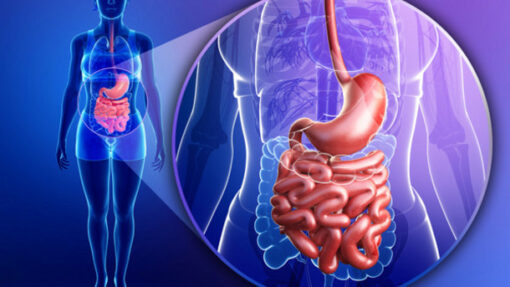 UChicago Medicine 8th Annual Updates in Digestive Diseases 2023