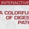 USCAP A Colorful Cornucopia of Digestive Tract Pathology 2022