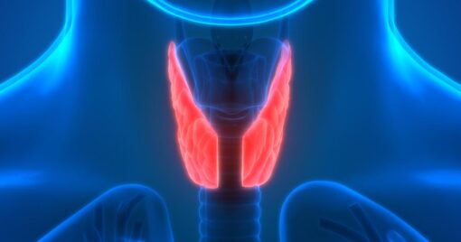 Harvard Clinical Endocrinology 2022