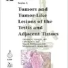 Tumors and Tumor-Like Lesions of the Testis and Adjacent Tissues (AFIP Atlas of Tumor and Non-Tumor Pathology, Series 5 Vol. 12) (Original PDF from Publisher)