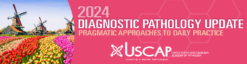 2024 Diagnostic Pathology Update: Pragmatic Approaches to Daily Practice