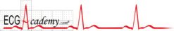 ECGAcademy: Basic To Advanced Theory + Chalktalk (Up To December 2016)