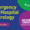 AAN Summer Conference 2023: Emergency and Hospital Neurology