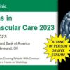 Cleveland Clinic Innovations in Cerebrovascular Care 2023
