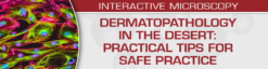 USCAP Dermatopathology in the Desert: Practical Tips for Safe Practice 2024