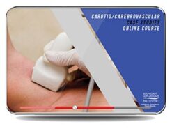 GCUS Carotid / Cerebrovascular Case Studies 2022 (VIDEOS)