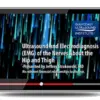 Gulfcoast Ultrasound and Electrodiagnosis (EMG) of the Nerves About the Hip and Thigh 2023