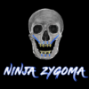 Ninja Zygoma – Implant Ninja