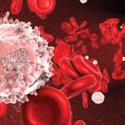Oakstone The Brigham and Dana-Farber Board Review and Comprehensive Update in Hematology and Oncology 2022