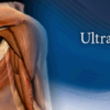 Pegasus Musculoskeletal Ultrasound eCourse 2023