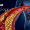 Pegasus Vascular Technology Review 2022