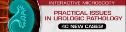 Practical Issues In Urologic Pathology – 40 New Cases! 2021