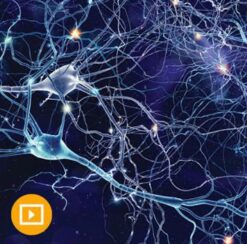 Samuels Comprehensive Review of Neurology 2024