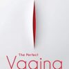 The Perfect Vagina: Cosmetic Surgery In The Twenty-First Century (Original PDF From Publisher)