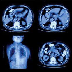 NYU Langone’s Head to Toe Imaging 2022