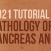 USCAP Tutorial in Pathology of the GI Tract, Pancreas and Liver 2021 (Videos)