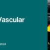 DocmedED 2021 Noninvasive Vascular Imaging