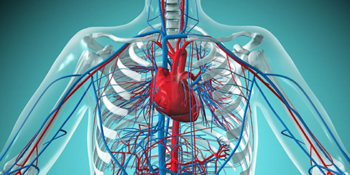 Hospital for Special Surgery Contemporary Topics in Vasculitis 2024