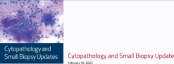 Houston Methodist Cytopathology and Small Biopsy Update 2023