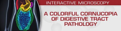 USCAP A Colorful Cornucopia of Digestive Tract Pathology 2022