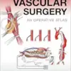 Gateways in Vascular Surgery: An Operative Atlas (Original PDF from Publisher)