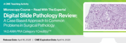 Digital Slide Pathology Review: A Case Based Approach to Common Problems in Surgical Pathology 2025