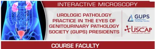 USCAP Urologic Pathology Practice in the Eyes of Genitourinary Pathology Society (GUPS) Presidents 2025