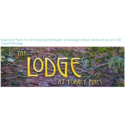 Diagnostic Pearls for the Practicing Pathologist 2025 (Videos with subtitles + Slides)