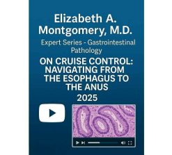 2025 Elizabeth A. Montgomery, M.D. Expert Series – Gastrointestinal Pathology on Cruise Control: Navigating from the Esophagus to the Anus