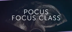 123Sonography OBGYN US FocusClass (Videos+Quiz)