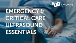 123sonography Emergency and Critical Care Ultrasound Essentials 2023 (Videos)