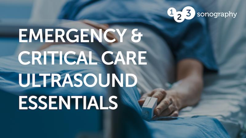 123sonography Emergency and Critical Care Ultrasound Essentials 2023 (Videos)