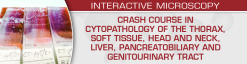 USCAP Crash Course in Cytopathology Thorax, Soft Tissue, Head and Neck, Liver, Pancreatobiliary and Genitourinary Tract 2024