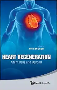 Heart Regeneration Stem Cells and Beyond (Original PDF from Publisher)