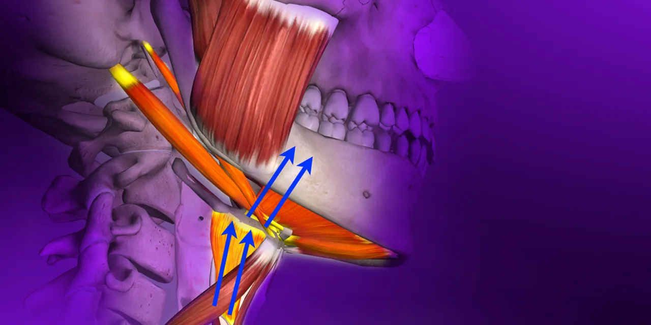OHI-S Gnathology and Occlusion From Analysis of Occlusal Forces to Dysfunctions 2023