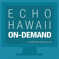 ASE 2025 Echo Hawaii Online Library 2025