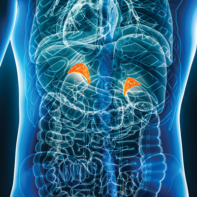 Oakstone Intensive Review of Endocrinology and Metabolism 2025